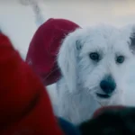 James Gunn Teases Krypto The Superdog Animated Series